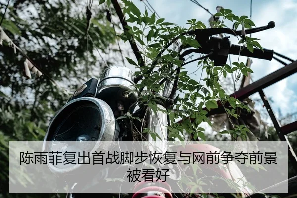 陈雨菲复出首战脚步恢复与网前争夺前景被看好
